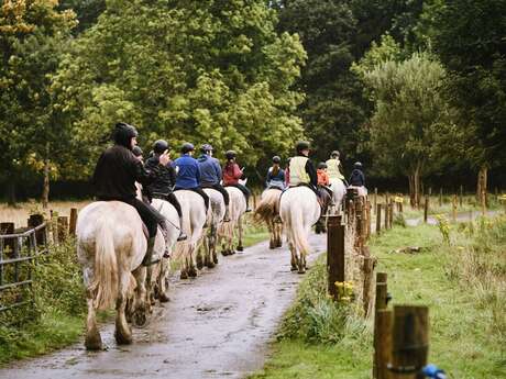 Eté actif 2026 : Equitation, balade en poney