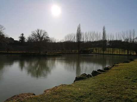 Pêche à l'étang