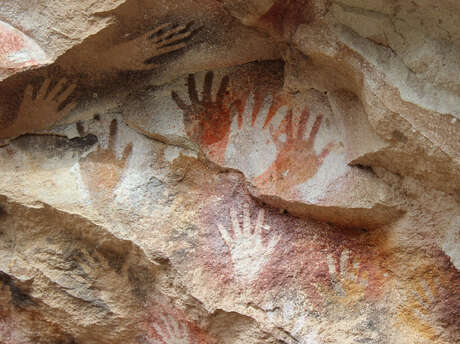 ÉTÉ ACTIF | Animation préhistoire