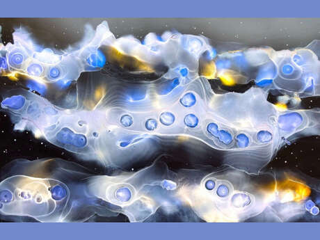 Exposition | Ariane BERGADIEU-SOLAL - Fluide Art
