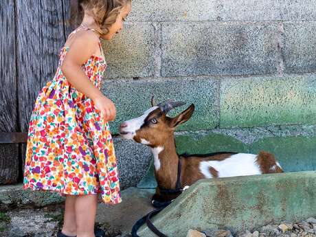 Visite active et pédagogique de la ferme Equi'libre