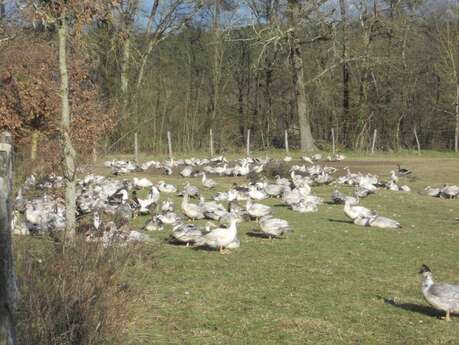 Ferme des Chantoux