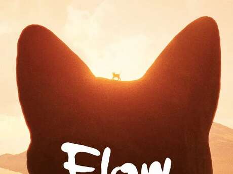 Cinéma en plein air : Flow