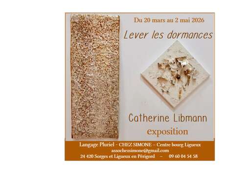 Exposition Catherine Libmann - Plasticienne de la fibre