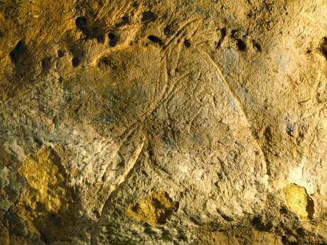 Visites approfondies de la Grotte des Combarelles