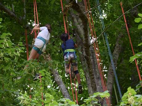 Eté actif : Grimpe d’arbre