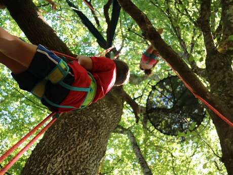 Grimpe d'arbres ou bivouac dans les arbres "L'hêtre agile"