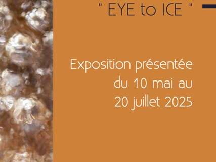 HORS SERIE - Exposition - vente "EYE TO ICE" par Nathalie Houdin