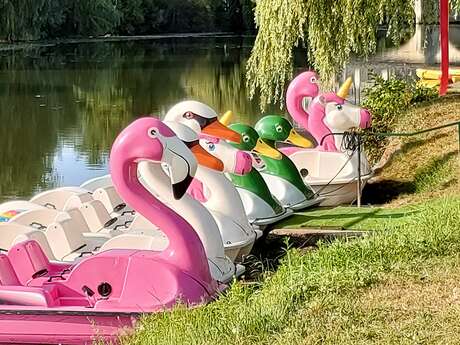 Un été sur les quais - Course de pédalos