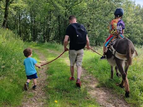 Été actif : Balade avec des ânes