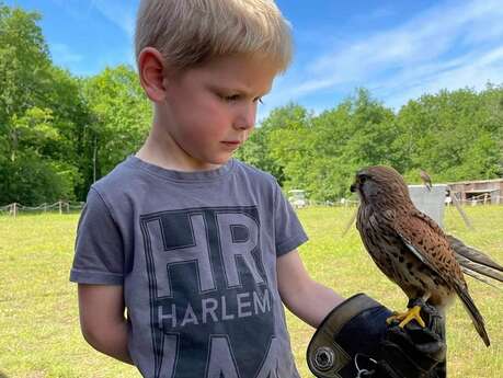 Viens visiter le Parc Sauvage en famille, c'est passionnant !