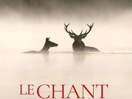 Cinéma en plein air " Le chant des forêts"