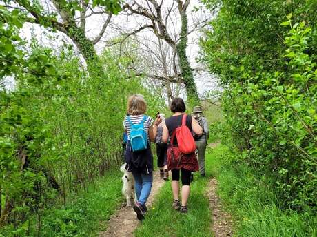 Balades cultures et nature | Templiers, élixirs et petites douceurs