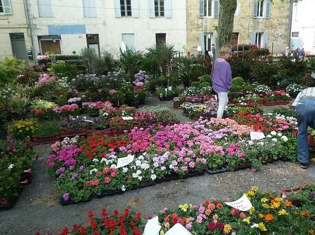 Grand marché aux fleurs