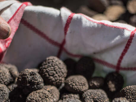 Marché aux Truffes