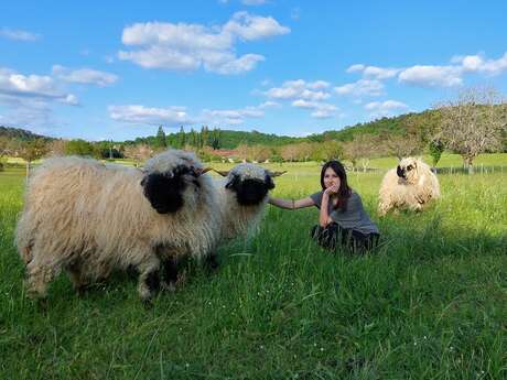 Gite La Ferme des Petites Oreilles