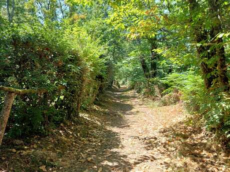 Boucle des cinq etangs