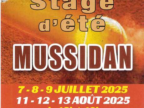 Stage d'été Tennis
