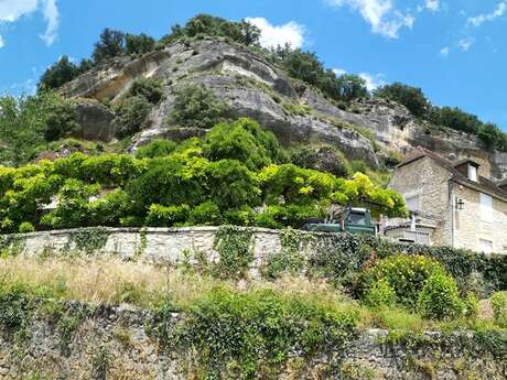 Printemps de la biodiversité - La flore sauvage des Eyzies