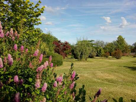 Les Jardins ethnobotaniques de Haute Terre