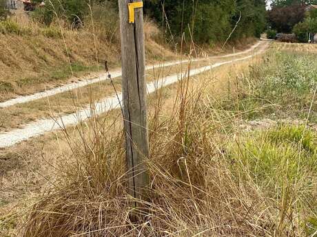 Boucle de Ponteyraud - Bois de Jalineau