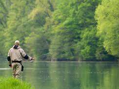 Concours de Pêche au coup