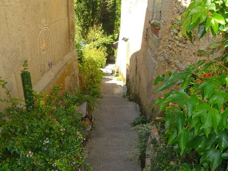 Visite commentée de la Bastide de Saint-Aulaye