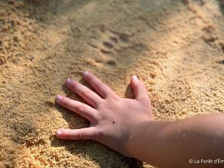 Découverte du pistage animalier