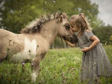 Poney Club Domaine d'Aure