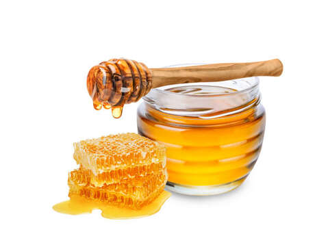 Conférence sur les abeilles