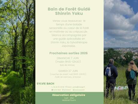 Shinrin Yoku – The Japanese Art of Forest Bathing