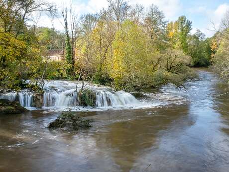 Sortie Nature : A la découverte des zones humides de la vallée du Blâme