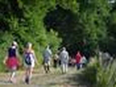 Randonnée gourmande