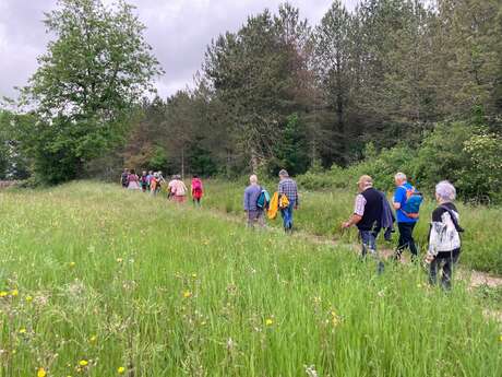 Randonnée en immersion dans les milieux humides