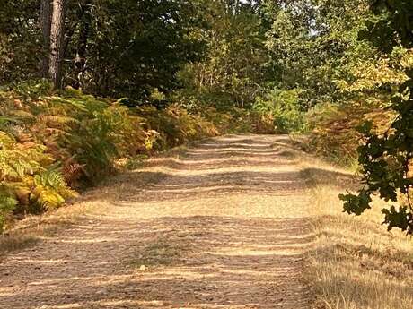 Balade de la Fontaine