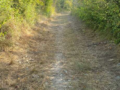 Boucle de la Mazille