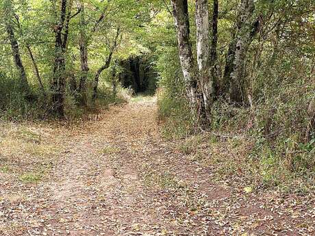 Boucle de l'eau et de la foret enchantée