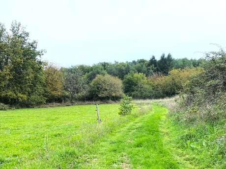 Boucle de Saint-Julien de Bourdeilles