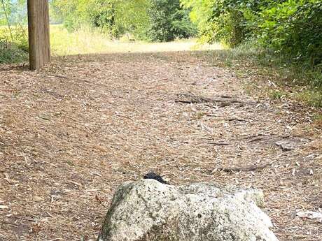 Boucle des Coteaux Sud