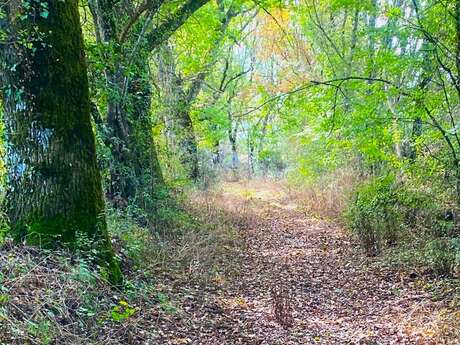 Boucle de Saint Martin