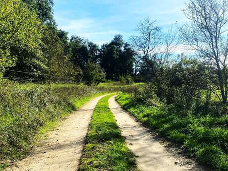 Boucle de Saint Pancrace