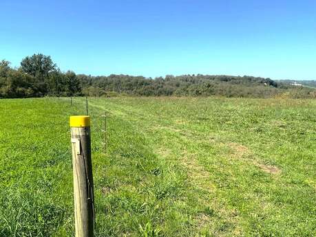 Boucle des Manoirs à Ste Foy de Belvès