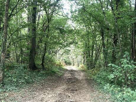 Boucle de Raunel Siorac en Périgord
