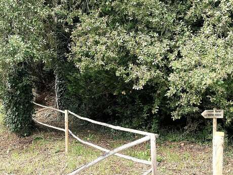 Boucle de la Dordogne Siorac en Périgord