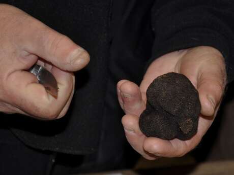EXPOSITION TERRE DE TRUFFES, TERRE D'HOMMES
