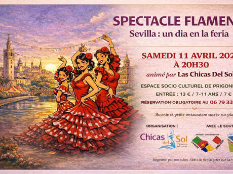 Spectacle flamenco