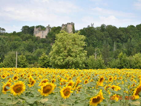 Château de Bruzac