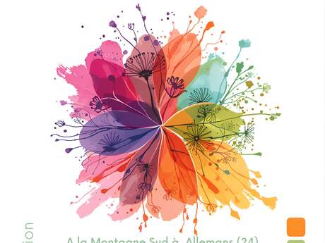 Stage d'initiation à la teinture végétale