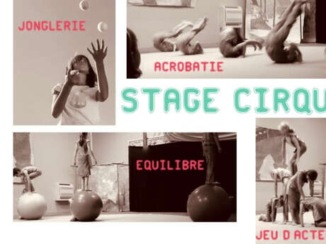 Stage de cirque