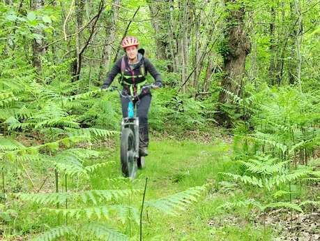 Eté actif : Trottinette électrique tout terrain